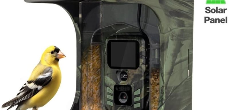EVOLVEO StrongVision BirdFeeder