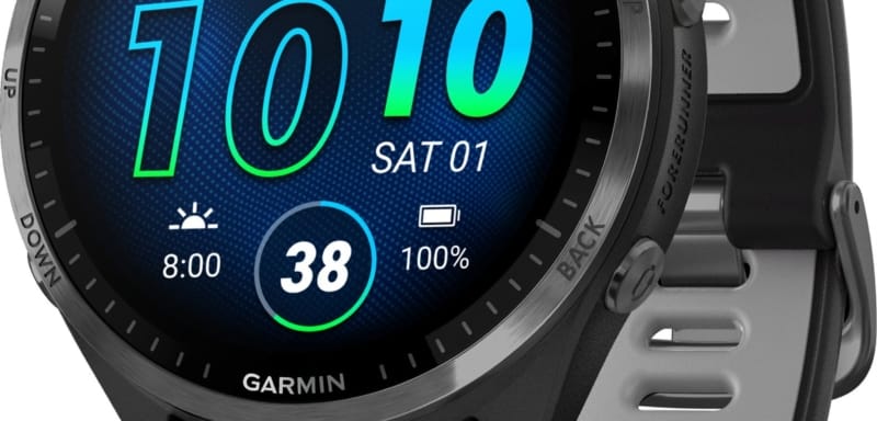 Garmin Forerunner 965 Black/Powder Gray