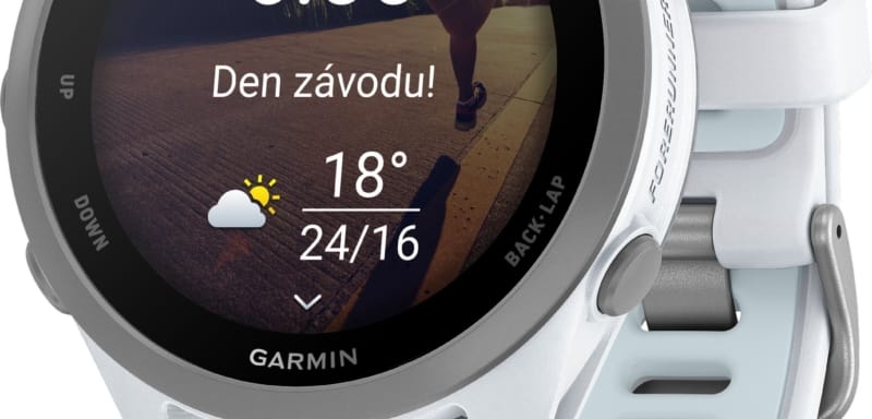 Garmin Forerunner 170 Whitestone/Cloud Blue