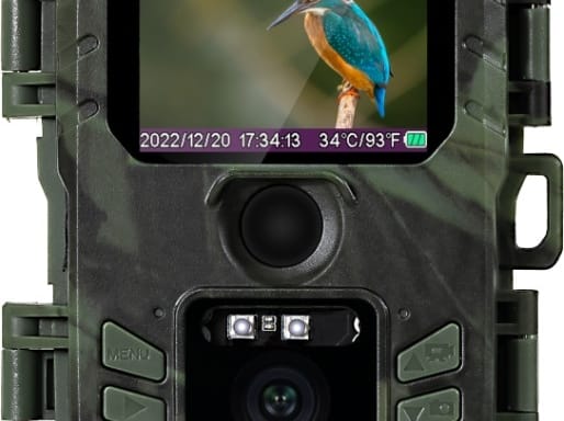 Suntek Mini WiFi Wildlife Camera