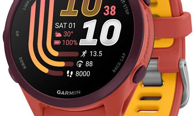 Garmin Forerunner 170 Music Red Pink/Mango