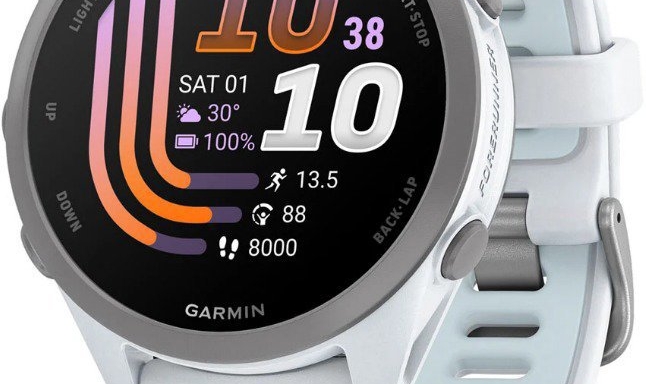 Garmin Forerunner 170 Music Whitestone/Cloud Blue