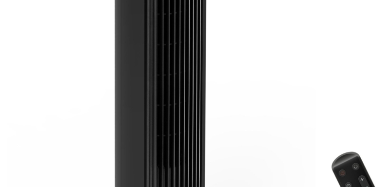 Levoit TempSense F362 DC Vortex